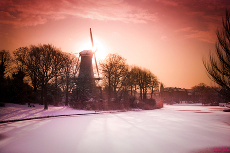 Molen van Piet Alkmaar