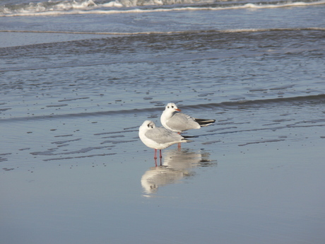 Op het strand