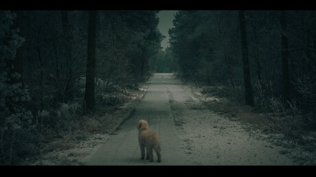 Straight out the movies !!!!