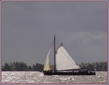 Sailing home...