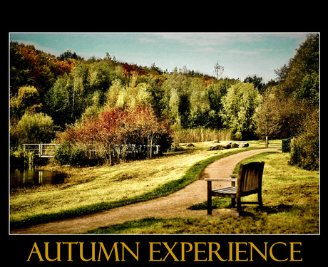 Autumn experience