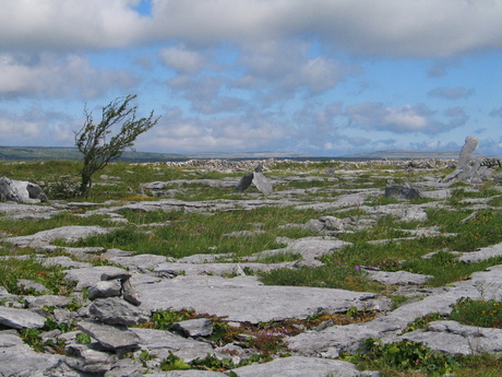 The burren