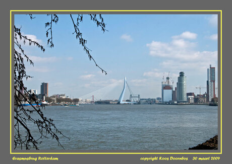 dagje Rotterdam
