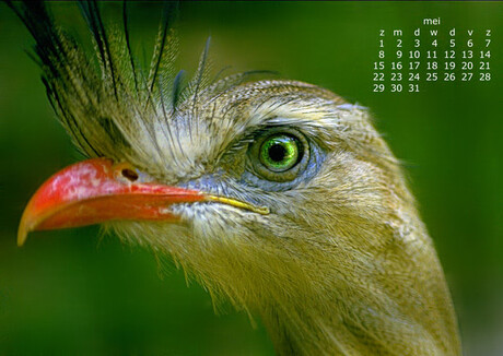 Kalender