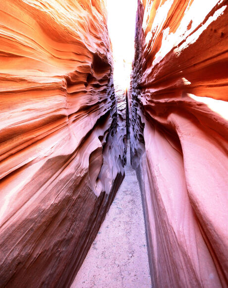 ratelsnake canyon