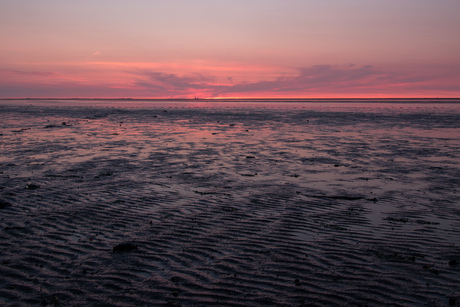 Aan de waddenkust