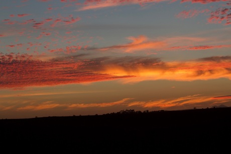Sunset Savanne Zuid-Afrika