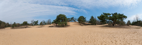 De Oudsberg (panorama)