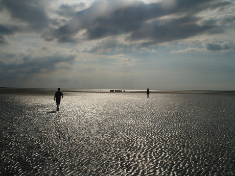 Waddenzee