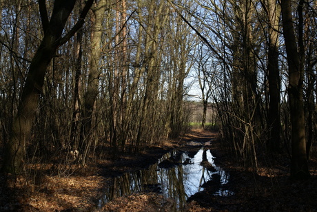 Natuurpark Hoge Kempen