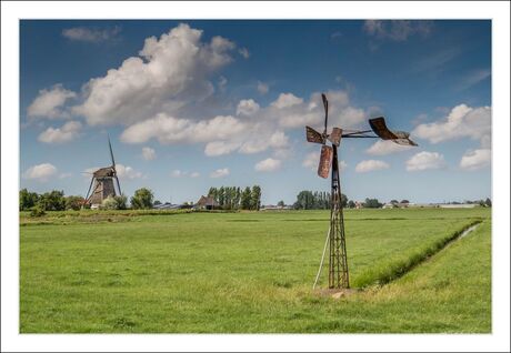 Hollands landschap