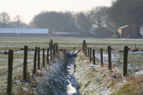 Landschap