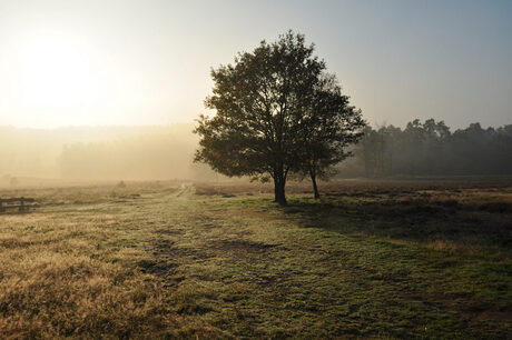 herfst