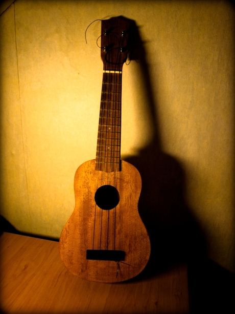 Ukulele of love