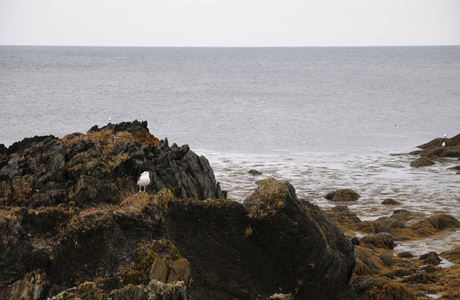 Cape St, Marys