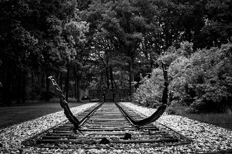 Opdat wij niet vergeten...