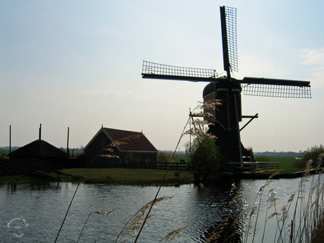 Molen