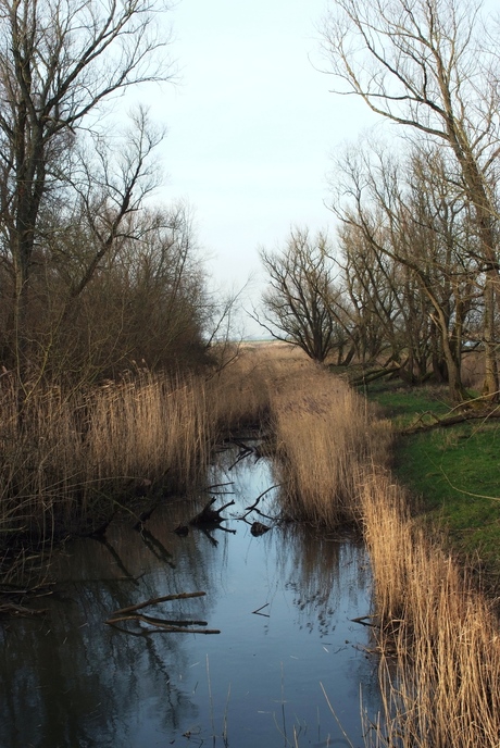 Wandeling Numansdorp
