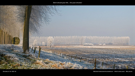 Meetjesland - Beoostereedepolderdijk 02