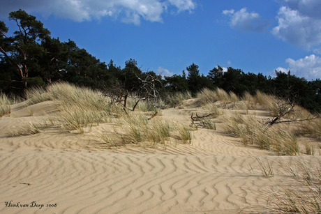 hulsthorster zand