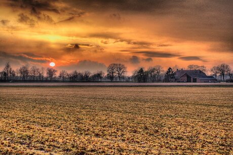 Golden Groningen