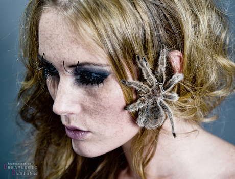 Diervrouwen: Spider-girl