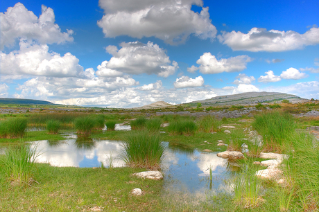 de Burren 4 Ierland