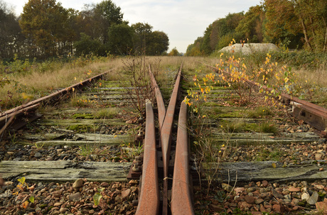 Herfst op het spoor