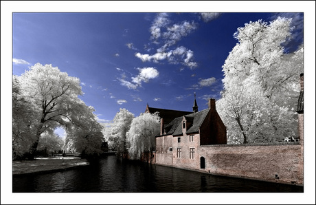 Brugge in IR