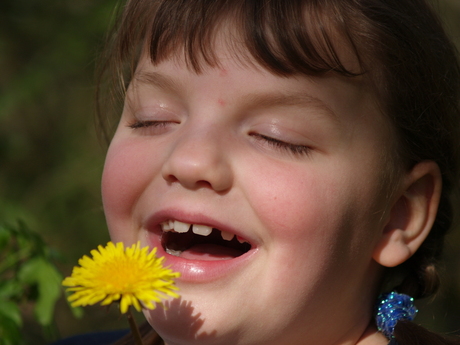 Lindy met Paardenbloem