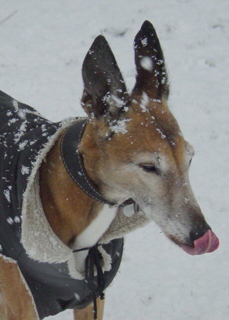 Wat een rare witte vlokken?
