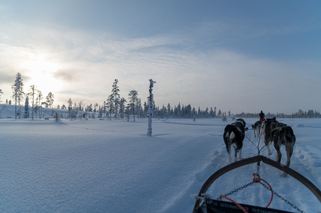 Husky tocht