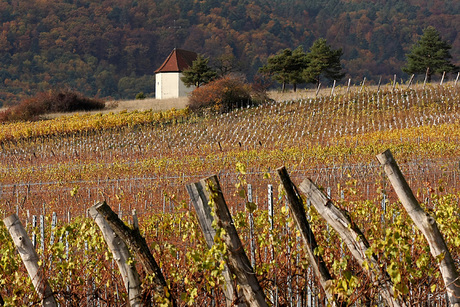 chapelle Le Bollenberg