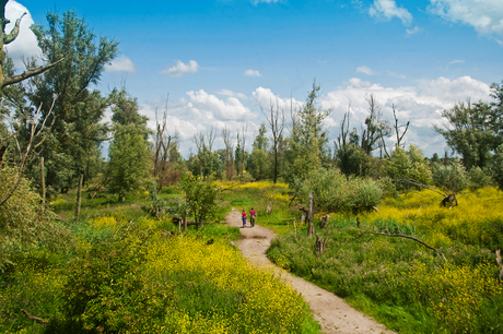 A Walk in Nature