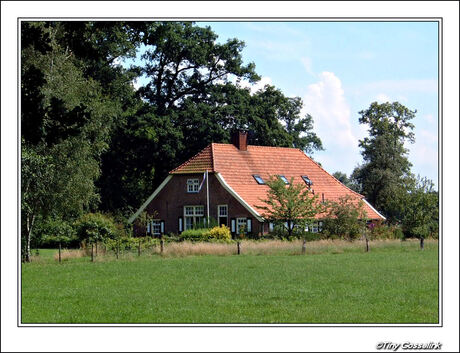 Voor L.E.O.N. Twentsche boerderij