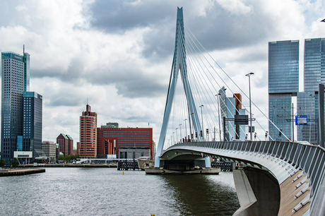 Rotterdam Skyline