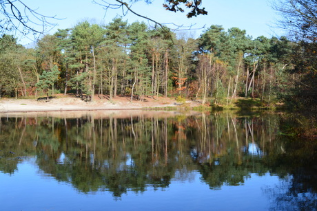 Loonse & Drunense Duinen 1