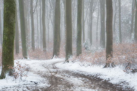 Oostereng-sneeuw 2.