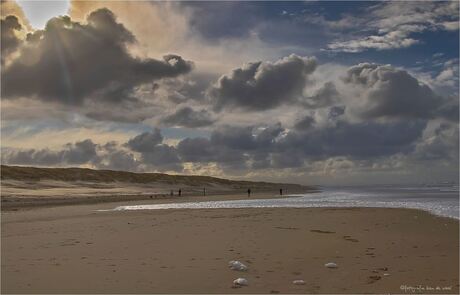 de cocksdorp texel 02