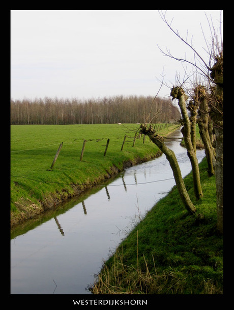 Westerdijkshorn