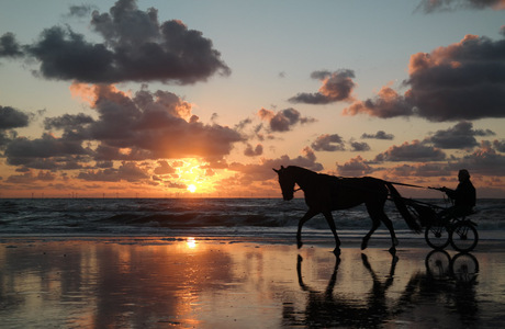 Onverwachtse Verrassing op het Egmondse strand