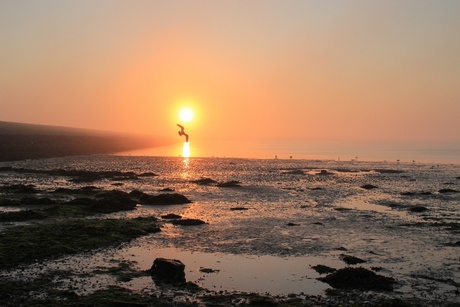 Sunrise Terschelling