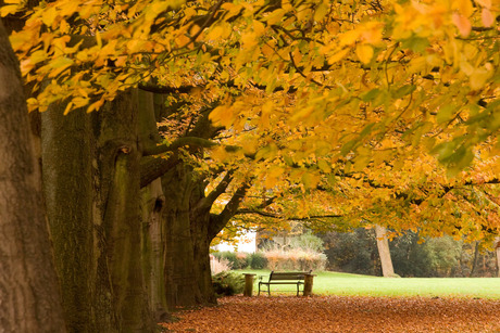 herfstpracht