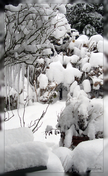 ijspegels,en sneeuw...