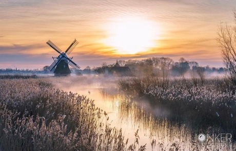 Dutch Landscape