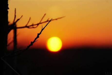 Sunset in Castricum