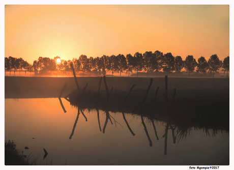 Morning mist