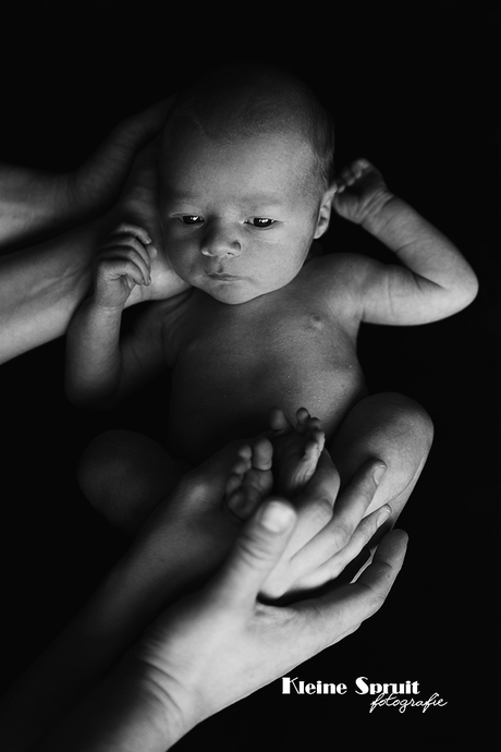 Newborn baby in de handen van de ouders