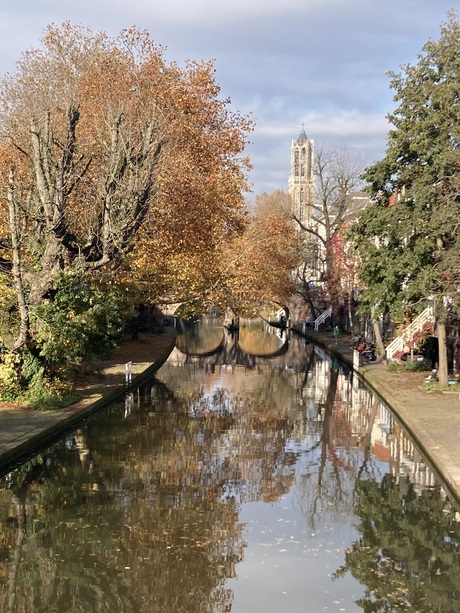 Herfst aan de gracht