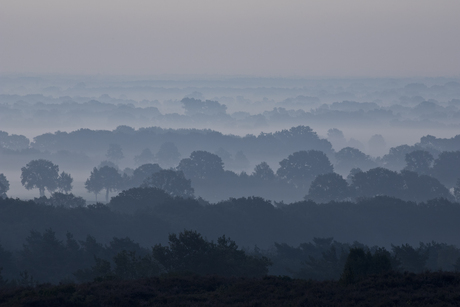 Ochtend op de Lemelerberg